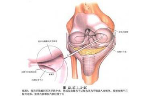 運動醫(yī)學（關節(jié)鏡）專科